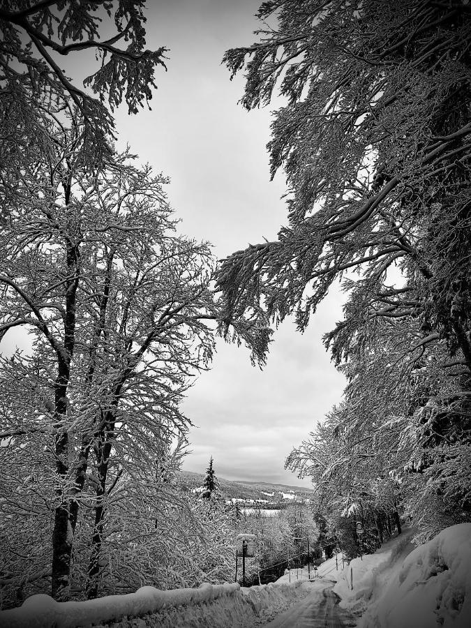 Hotel De Ville Du Sentier Le Sentier Esterno foto
